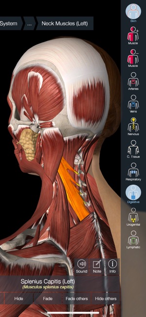 Essential Anatomy Free Download Mac
